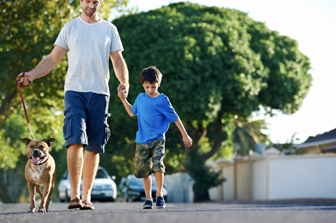 tips for working from home - take breaks